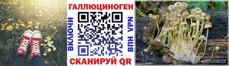 Псилоцибиновые грибы прущие грибы  купить   Венёв 